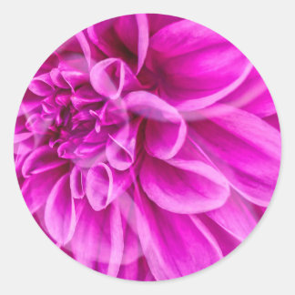 Pink Flower Sticker
