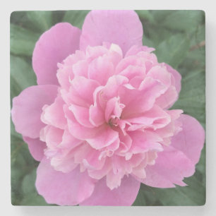 Pink flower stone coaster