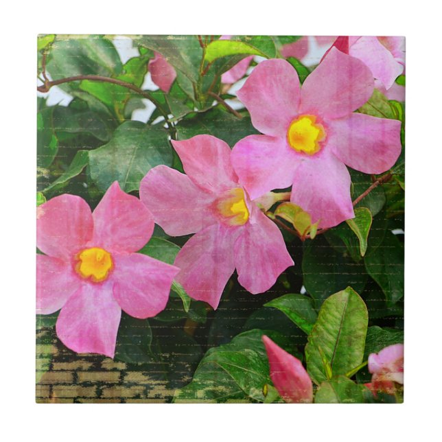 Pink Flower Tile (Front)