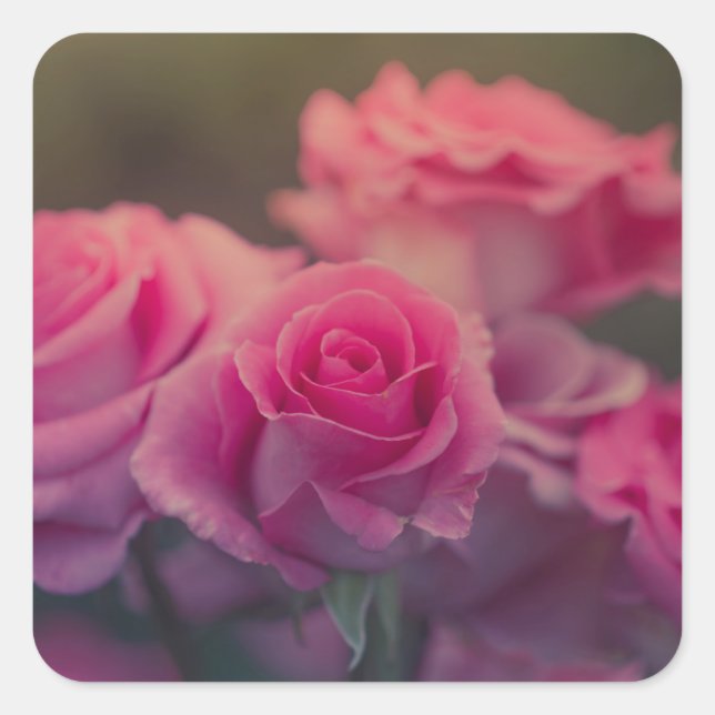 pink flower very close square sticker (Front)