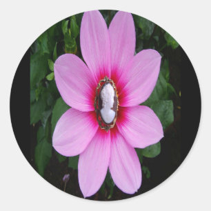 Pink flower with cameo centre, sticker