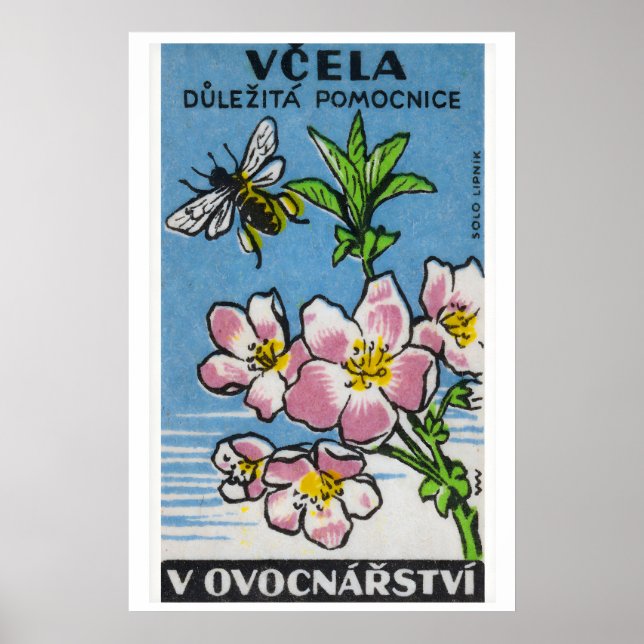 Pink Flower Yellow Bee - Matchbox Print - Czech (Front)