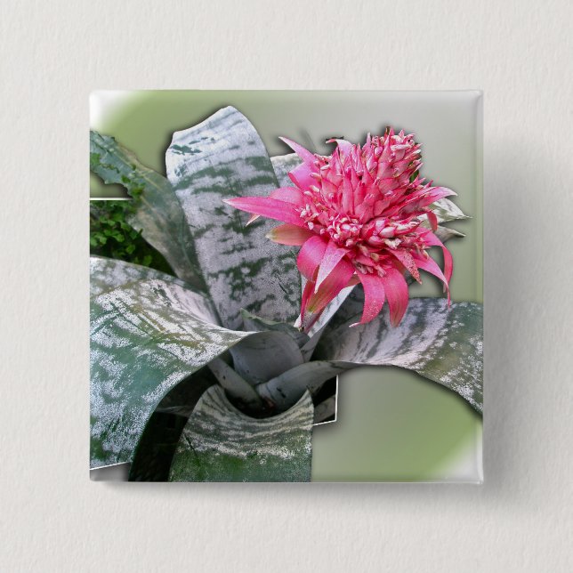 Pink Flowered Bromeliad 15 Cm Square Badge (Front)