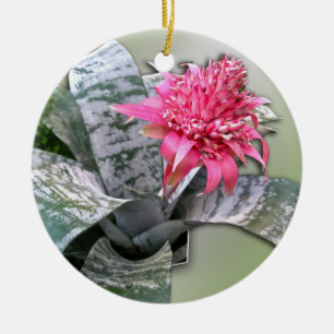 Pink Flowered Bromeliad Ceramic Tree Decoration
