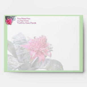 Pink Flowered Bromeliad Envelope