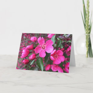 Pink Flowering Crabapple Card