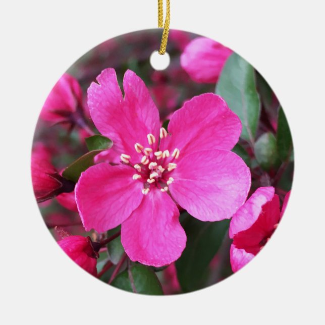 Pink Flowering Crabapple Ceramic Ornament (Front)