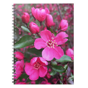 Pink Flowering Crabapple Notebook