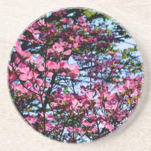 Pink flowering Dogwood tree Coaster