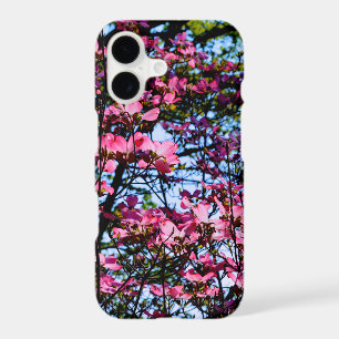 Pink flowering Dogwood tree pink floral flowers