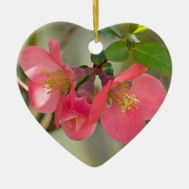 Pink Flowering Quince Glow Ceramic Tree Decoration (Front)