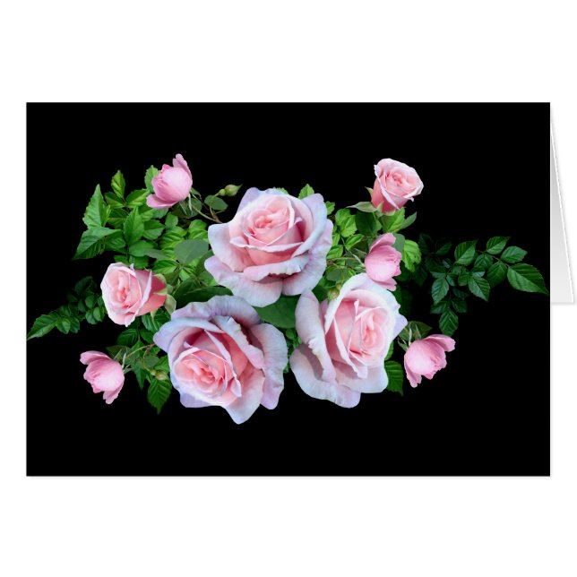Pink Flowering Rose (Front Horizontal)