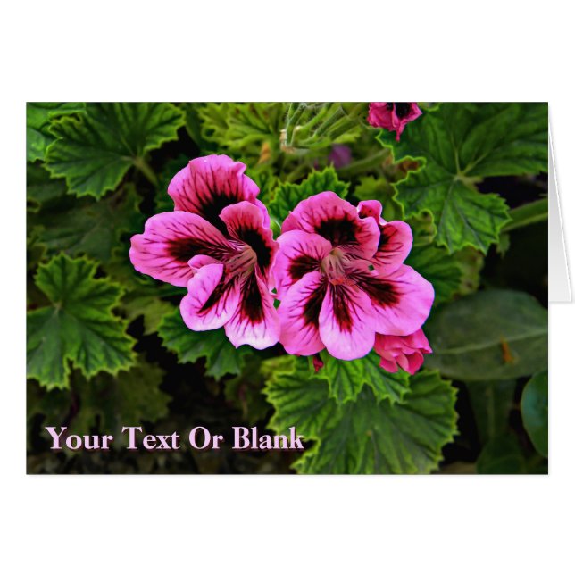 Pink Flowers 1 (Front Horizontal)