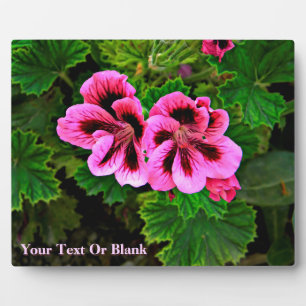 Pink Flowers 1 Plaque