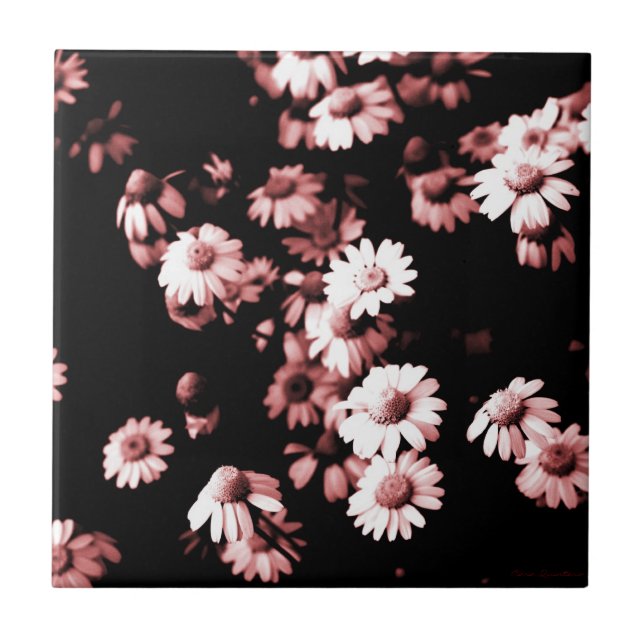 Pink Flowers #4250 Ceramic Tile (Front)