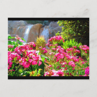 Pink Flowers and Waterfall Postcard