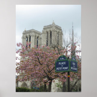Pink Flowers at Notre Dame Poster