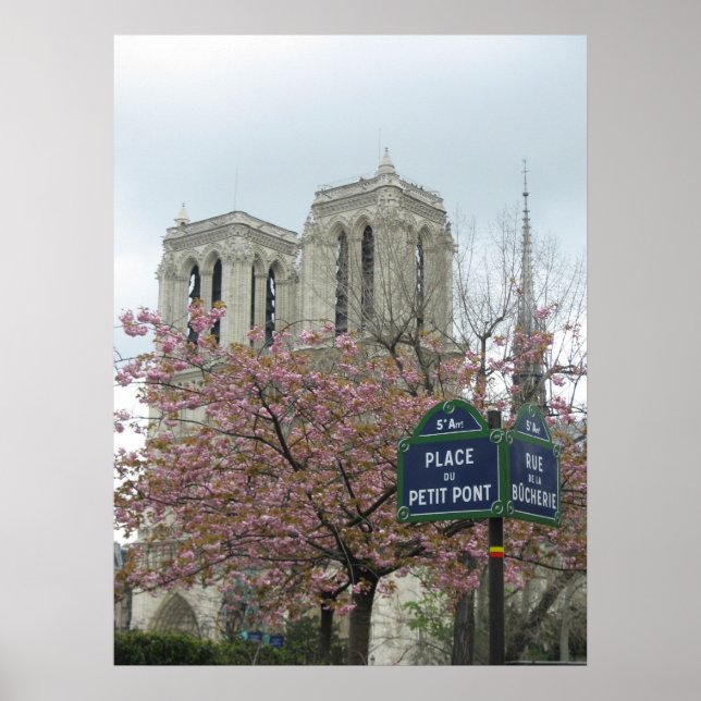 Pink Flowers at Notre Dame Poster (Front)