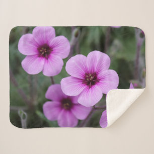 Pink Flowers Baby Blanket Small