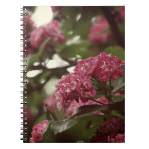 Pink Flowers Blosoom Photo Notebook (80 Pages B&W)