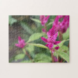 Pink Flowers Celosia Garden Nature Photography Jigsaw Puzzle