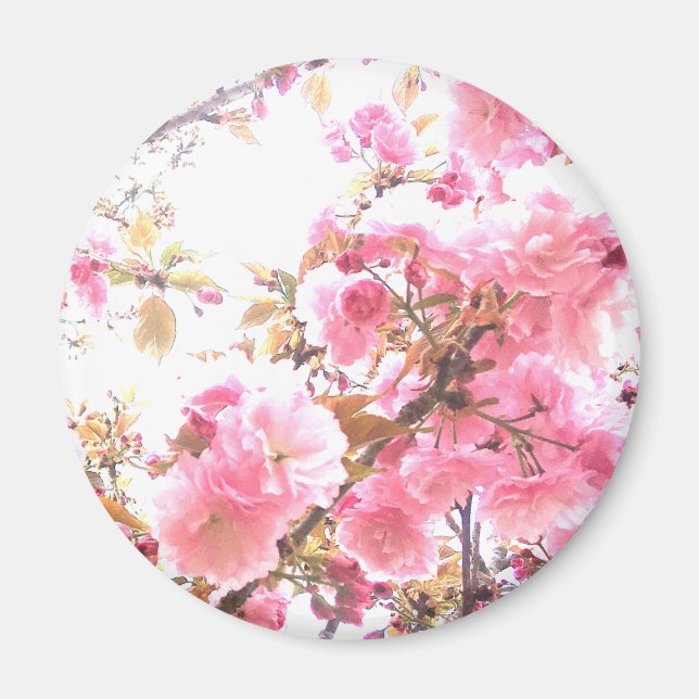 Pink Flowers Cherry Blossom Floral Patterns Sakura Magnet (Front)