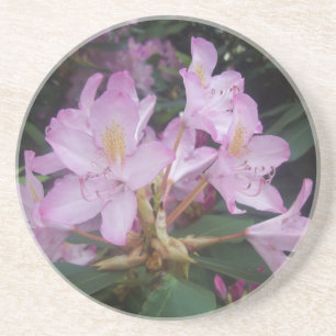 Pink Flowers Coaster