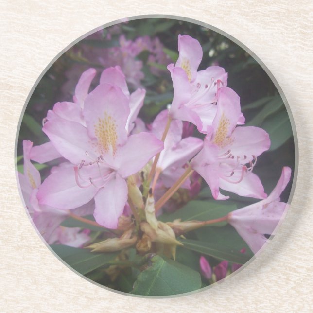 Pink Flowers Coaster (Front)