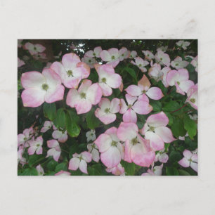 Pink Flowers DIY Postcard