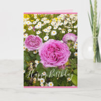 Pink Flowers Floral Rose Roses Daisy Birthday