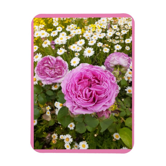 Pink Flowers Floral Rose Roses Daisy  Magnet (Vertical)