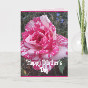 Pink Flowers Floral Rose Roses Mothers Day Card