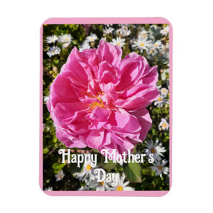 Pink Flowers Floral Rose Roses Mothers Day Card Magnet
