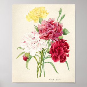 pink flowers illustration for artsy poster