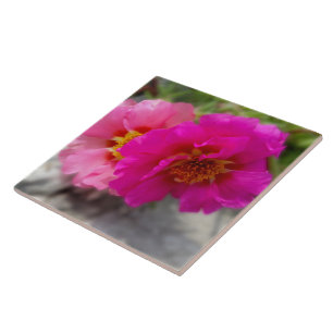 Pink flowers in the sun ceramic tile