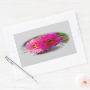 Pink flowers in the sun rectangular sticker