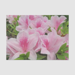 pink Flowers,japanese,asian,chinese,fashion,greeti Tissue Paper