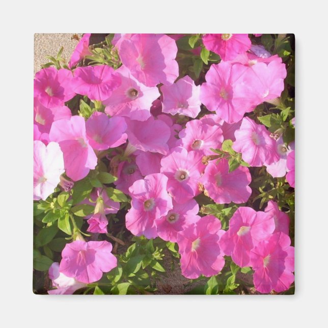 Pink Flowers Magnet (Front)