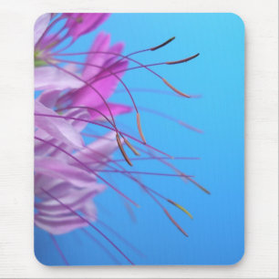 Pink Flowers Mouse Pad