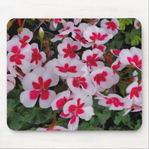 Pink flowers mouse pad