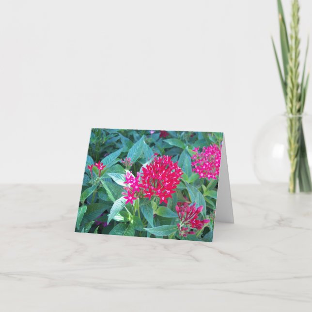 Pink Flowers Note Card (Front)