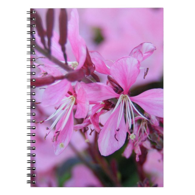Pink Flowers Notebook (Front)
