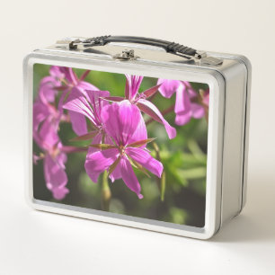 Pink flowers of an ivy leafed geranium metal lunch box
