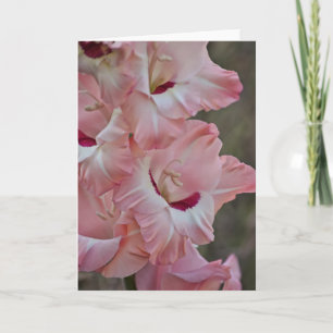 Pink Flowers of Gladiolus Art Note Card