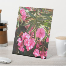 Pink flowers on the tree