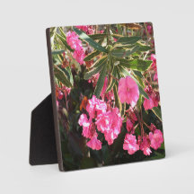 Pink flowers on the tree