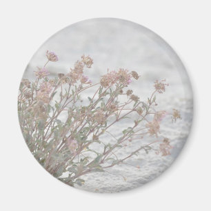 Pink Flowers On White Sand Magnet