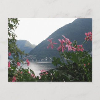 Pink flowers over Lake Como Postcard