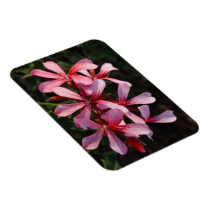 Pink Flowers Photo Magnet