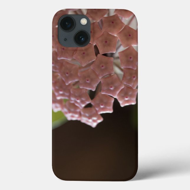Pink Flowers Photography Case-Mate iPhone Case (Back)